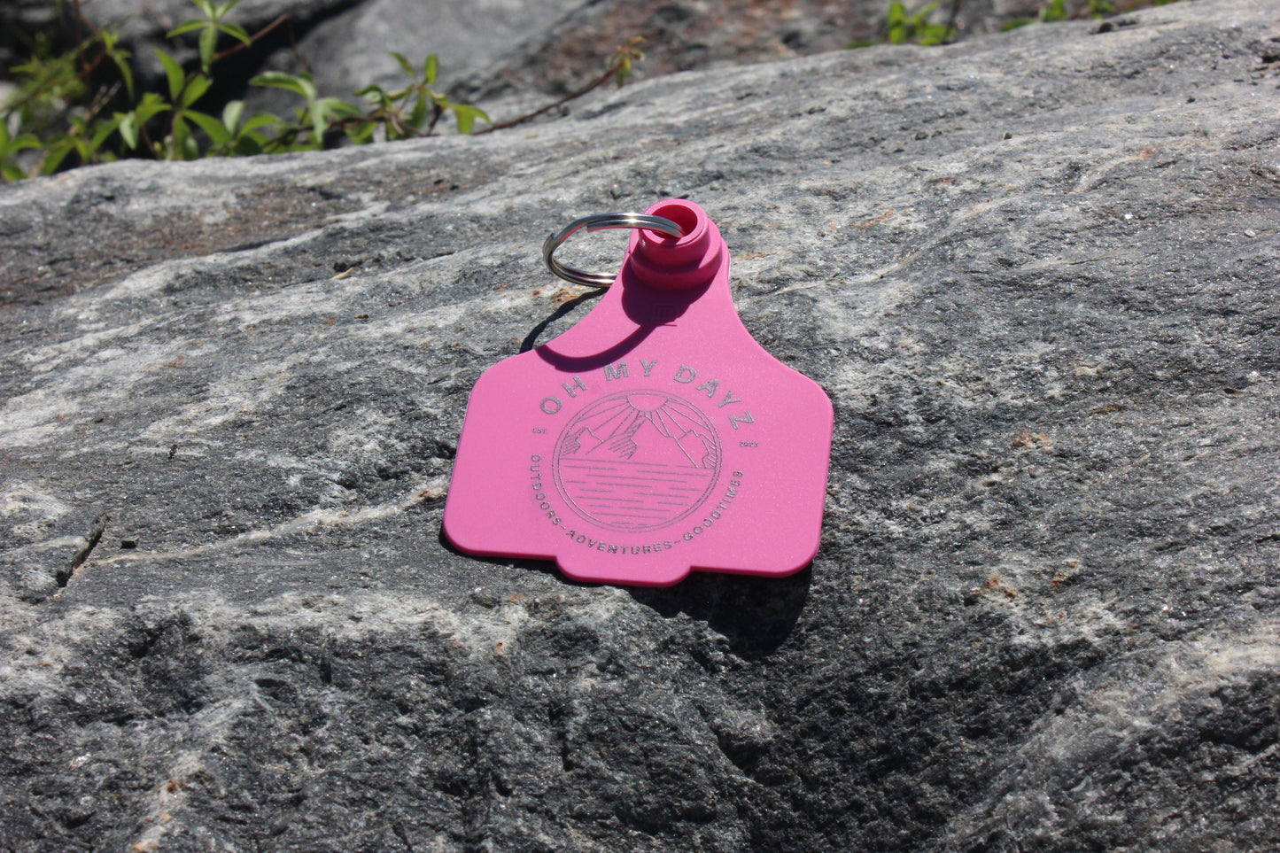 Cattle Tag Key Ring