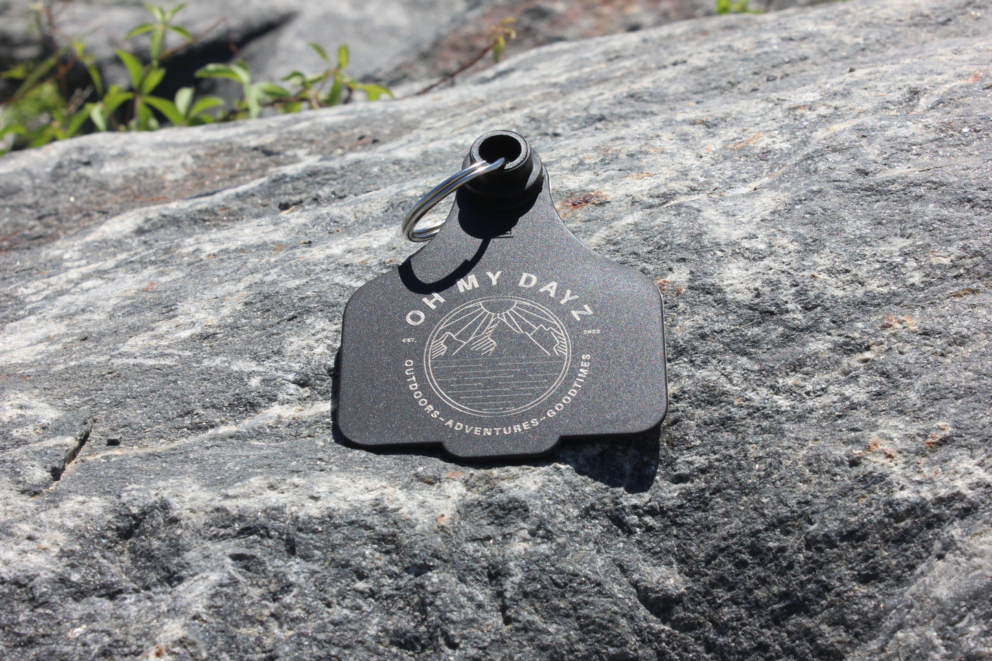 Cattle Tag Key Ring